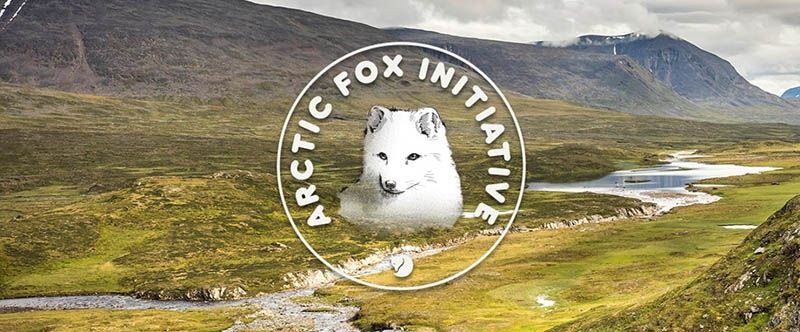 Fjallraven 2024 kanken fox