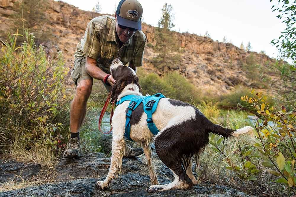 Adventures with your Dog Nordic Outdoor